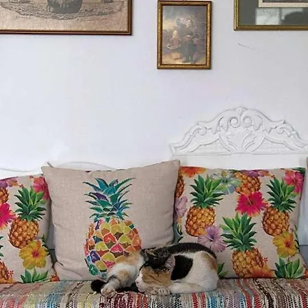 Armadoros / Backpackers Hotel